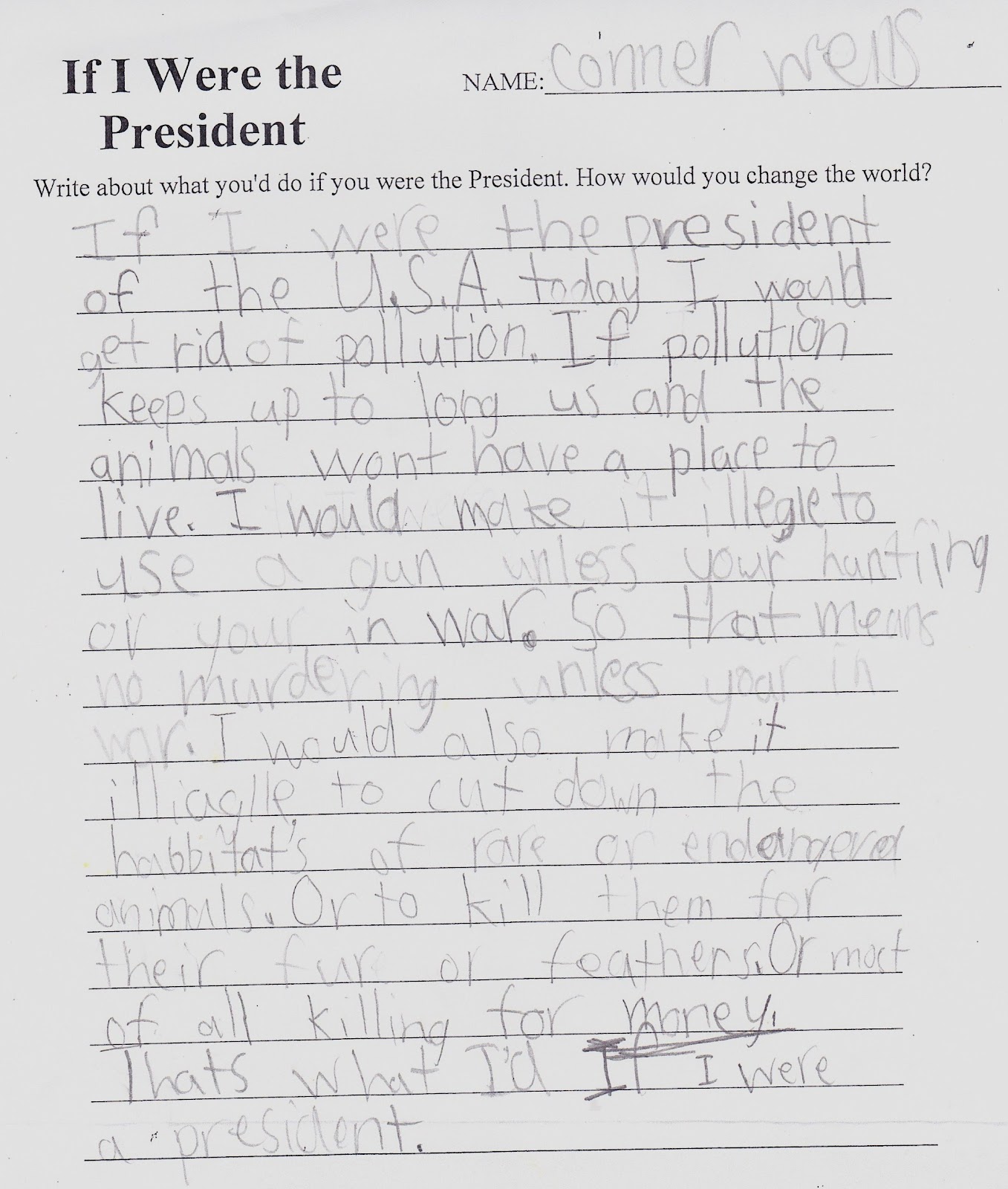 If i were president essay template